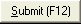 Submit button (Submit (F12) button)