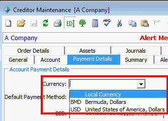 Creditor Maintenance - Payment Details tab(cut down, currency highlighted)