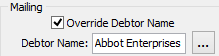 Debtor Maintenance - Debtor tab (Override Debtor Name and Name fields)