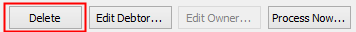 Delete button (Debtor Maintenance - Online payments tab, cut-down)