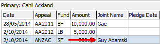 Development Maintenance - Pledges tab (cut down, Joint Name field)