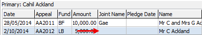 Development Maintenance - Pledges tab (cut down, Joint Name field)