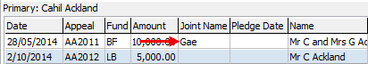 Development Maintenance - Pledges tab (cut down, Joint Name field)