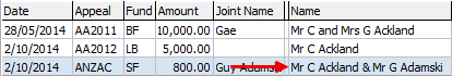 Development Maintenance - Pledges tab (cut down, Name field)
