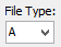 File Type field