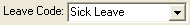 Leave Codes field (cut down)