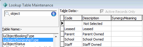 Lookup Table Maintenance - luObjectOwnershipType