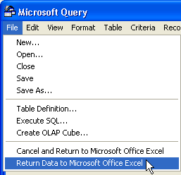 Microsoft Query (File menu)