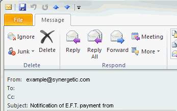 Notification of EFT payment example
