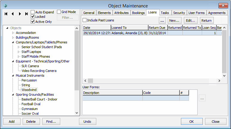 Object Maintenance - Loans tab