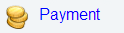 Payments tab - payments link.gif