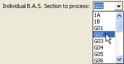 Process Business Activity Statement window (Individual B.A.S. Section to process field)