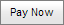 Select how you would like to pay window - Pay now button (portal)