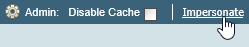 Impersonate (Admin panel, cut-down)