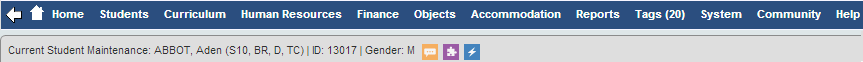 Custom icons (synweb)