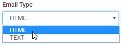 Email Type field