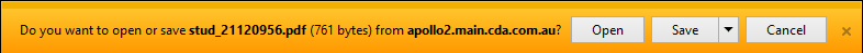 File Download window