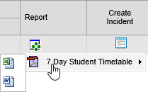 Launch report (Pastoral Care Maintenance, synweb)