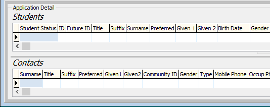 Process Online Applications Import window (Application Detail grid area fields, cut-down)