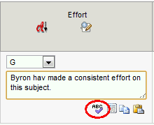 Results Maintenance - Single window (spell check icon)