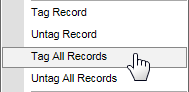 Right click menu (select Tag All Records)