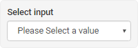 Select input element