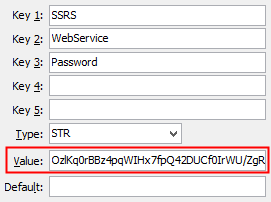 SSRS WebService Password configuration setting