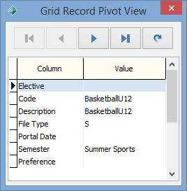 Grid Record Pivot View window