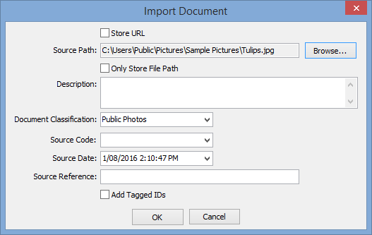 Import Document window