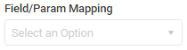 FieldParam mapping property