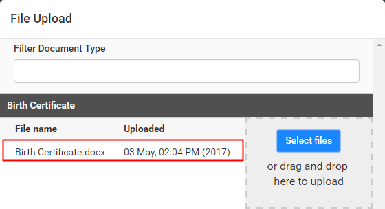 File Upload window (post upload)