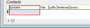 Online application import (Contacts section, surname highlighted)