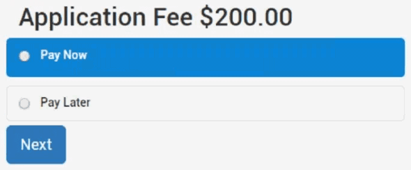 Online payment result (Online form editor)