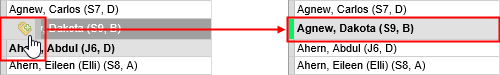 Tagging a record using the tag icon (synweb)