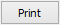 Print button