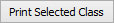 Print selected class button