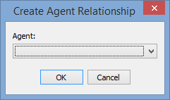 Create Agent Relationship window