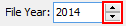 Current Student Maintenance - NCEA tab (File Year)
