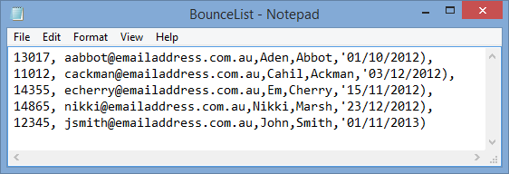 Email List Import window - Bounce List text file