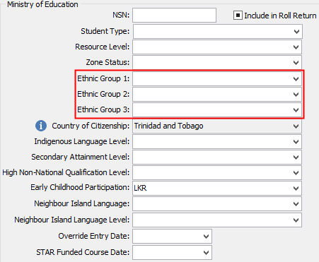 Ethnic group fields (luEthnicGroup lookup table)
