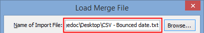 Load Merge File window (Name of import file field populated)