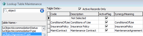 Lookup Table Maintenance - luObjectAgreementType