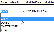 luCreditCard lookup table (SynergyMeaning field)