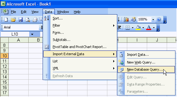 Microsoft Excel - New Database Query