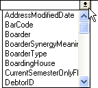Microsoft Query (blank column heading selection)