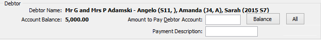 Payment Creation window (cut down, debtor area)