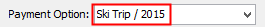 Payment option example