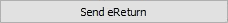 Send eReturn button (large)
