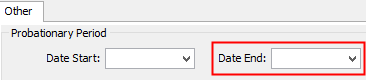 Staff Maintenance - Other tab (Probation fields, cut-down)