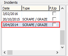 Student Medical - Incidents tab - Summary sub-tab (cut down, incidents grid highlighted)
